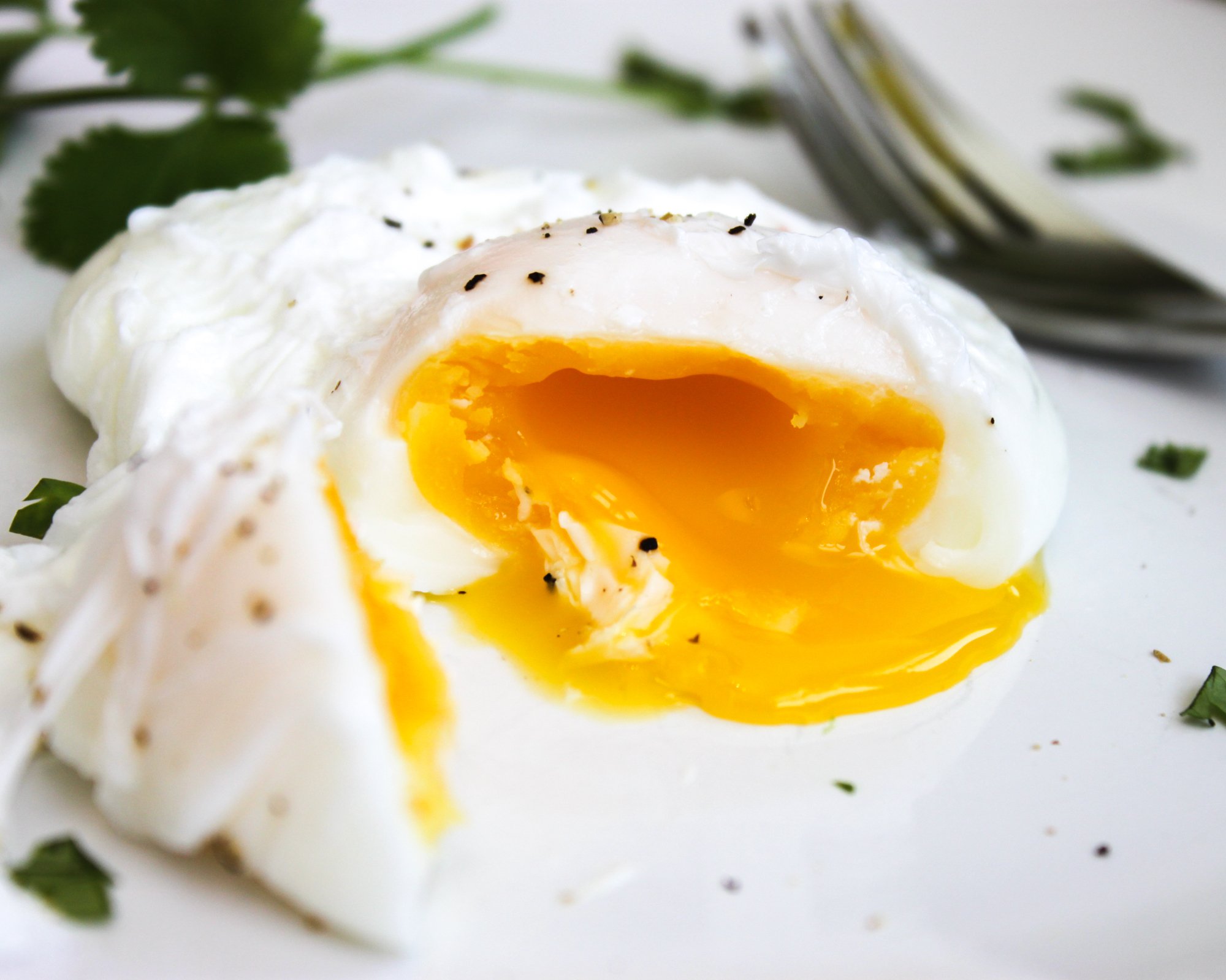 Can I Use White Wine Vinegar For Poached Eggs at Chester Schenck blog