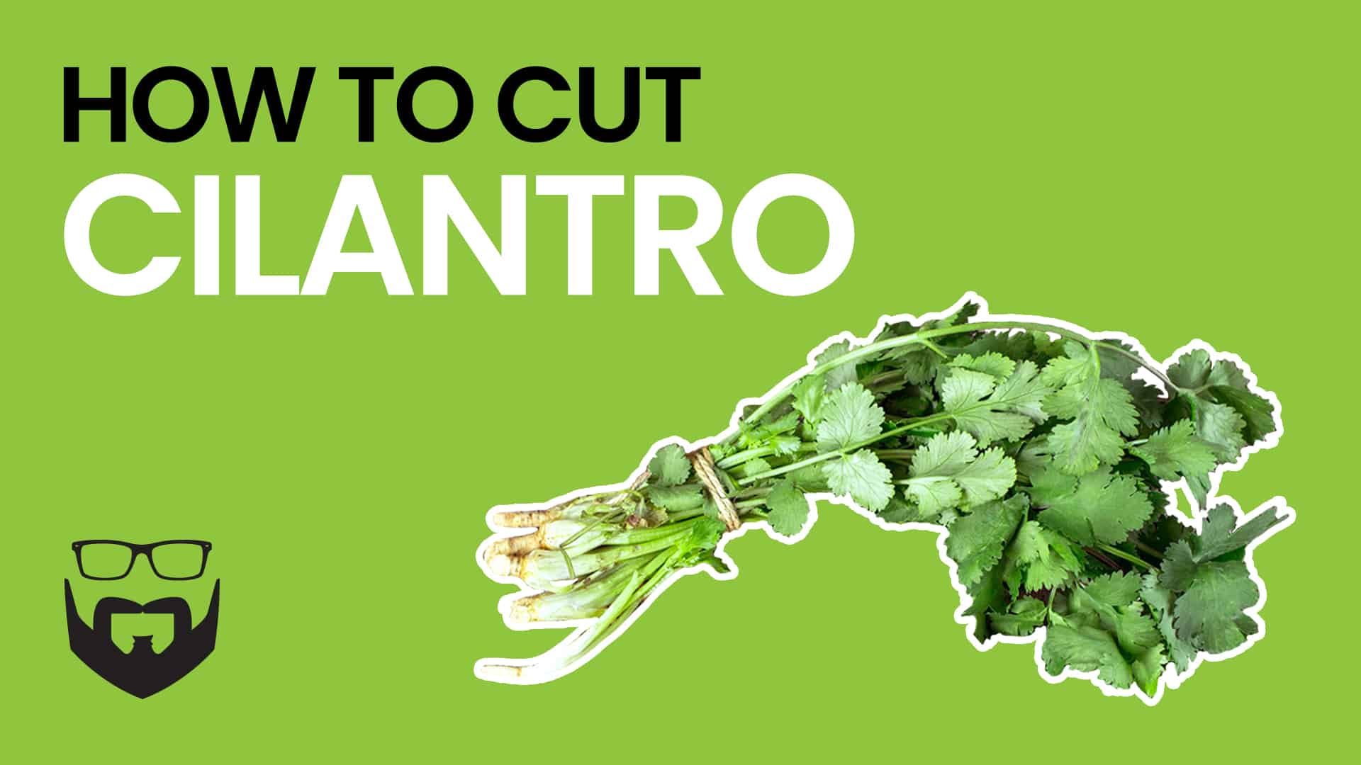 How to Cut Cilantro Video - Green