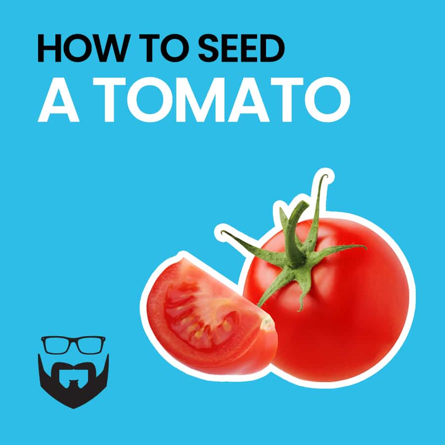 how-to-seed-a-tomato