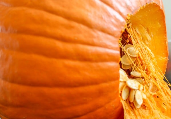 Carving a Pumpkin-2