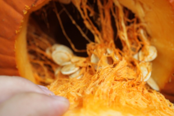 Seeding a Pumpkin