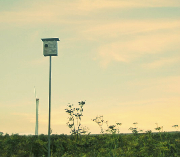 Baileyana Winery Owl Box