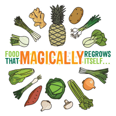 Food That Magically Regrows Itself 1000x1000