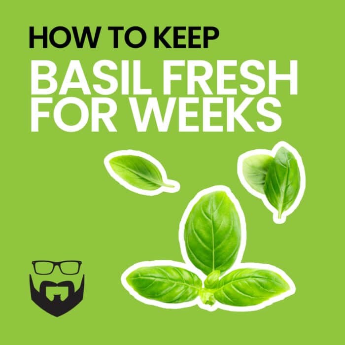 How to Keep Basil Fresh for Weeks Square - Green