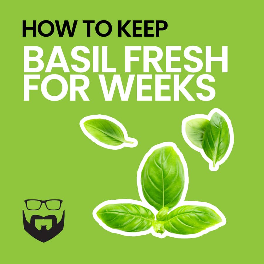 how-to-keep-basil-fresh-for-weeks