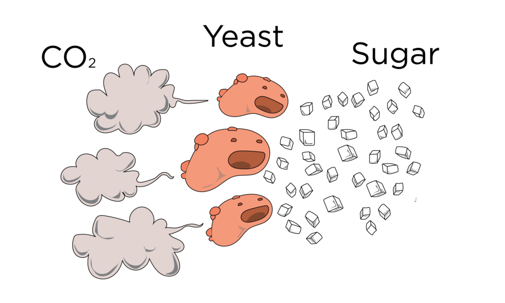 How Baking Soda Works