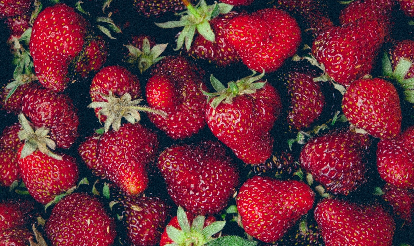 How to Store Strawberries Main