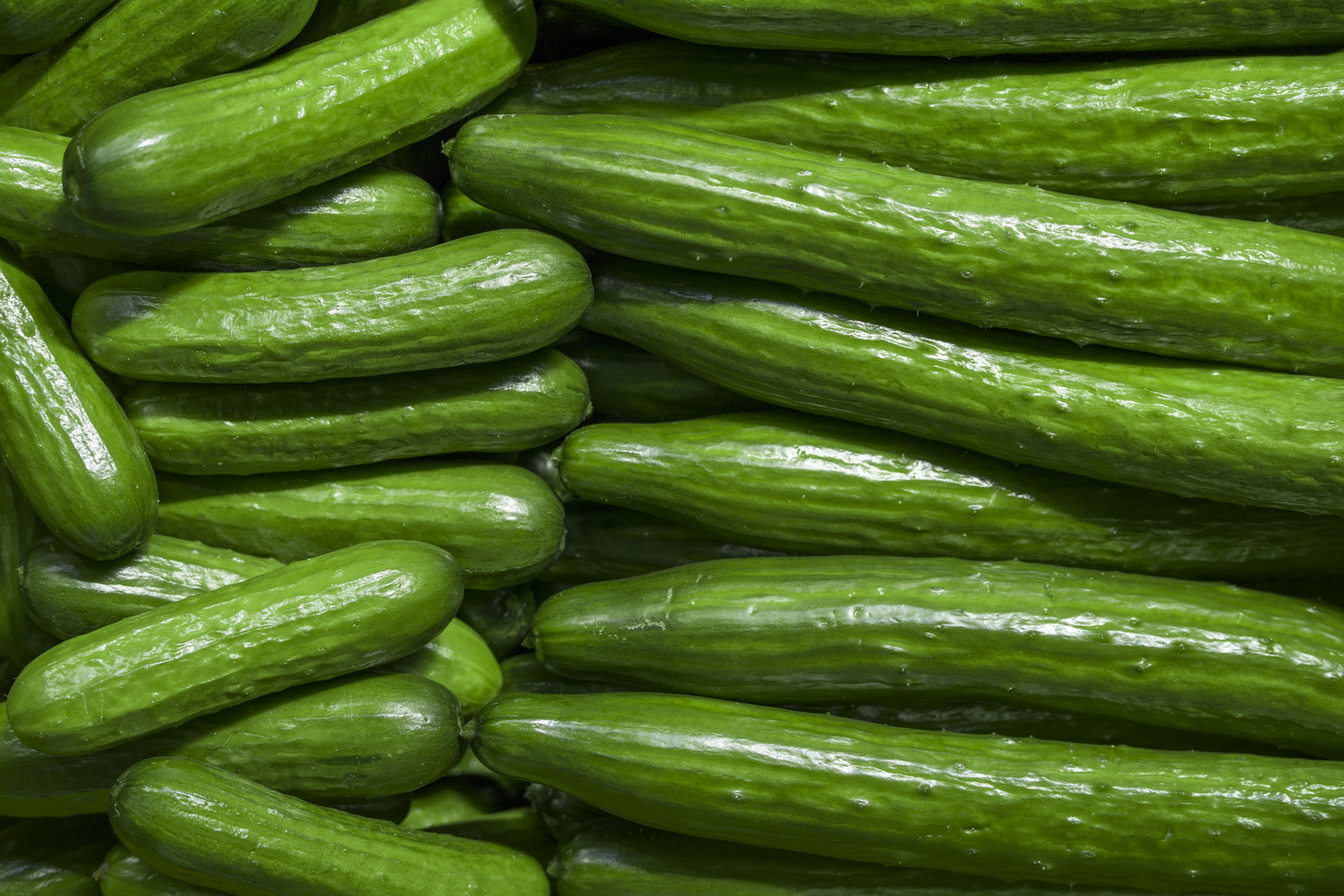 How to Store English Cucumbers