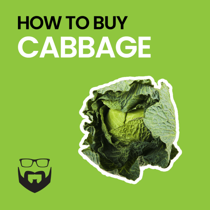 How to Buy Cabbage Square - Green
