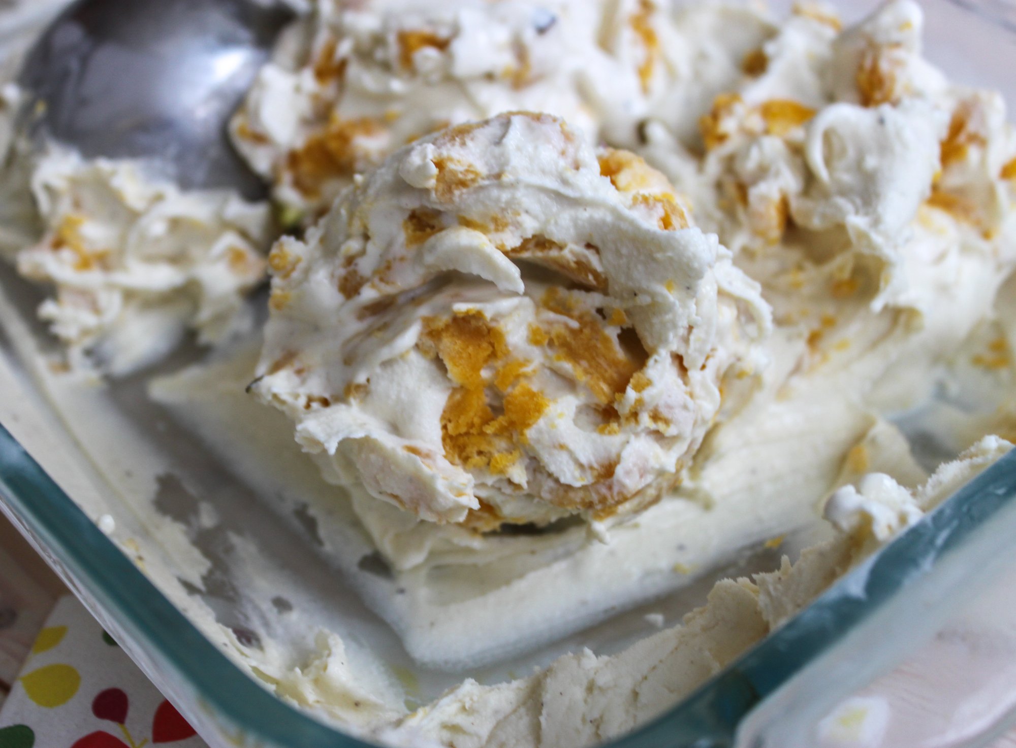 Butternut Squash Swirl Ice Cream
