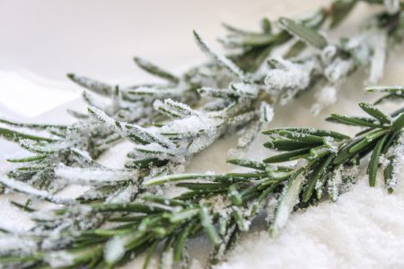 Candied Rosemary 1