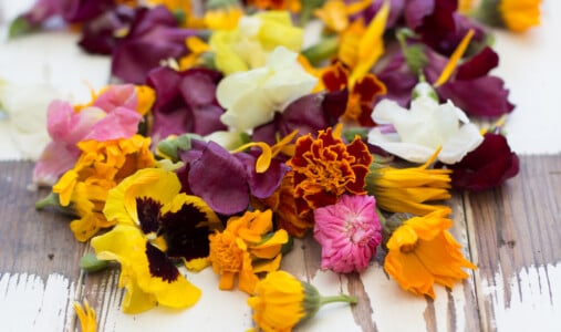 Edible Flowers 3