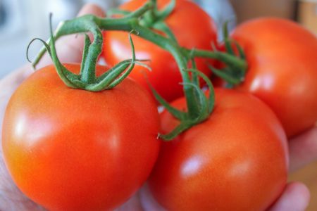 How to Keep Tomatoes Fresh Over a Week 1