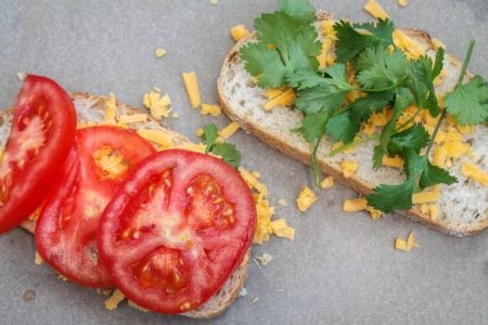 Tomato and Cilantro Sandwich 1