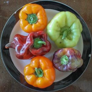 bell peppers 1