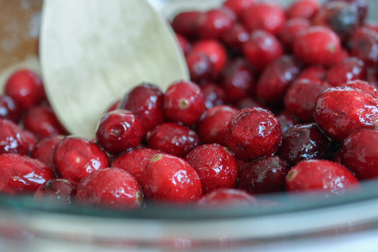 Cranberry & Persimmon Salad