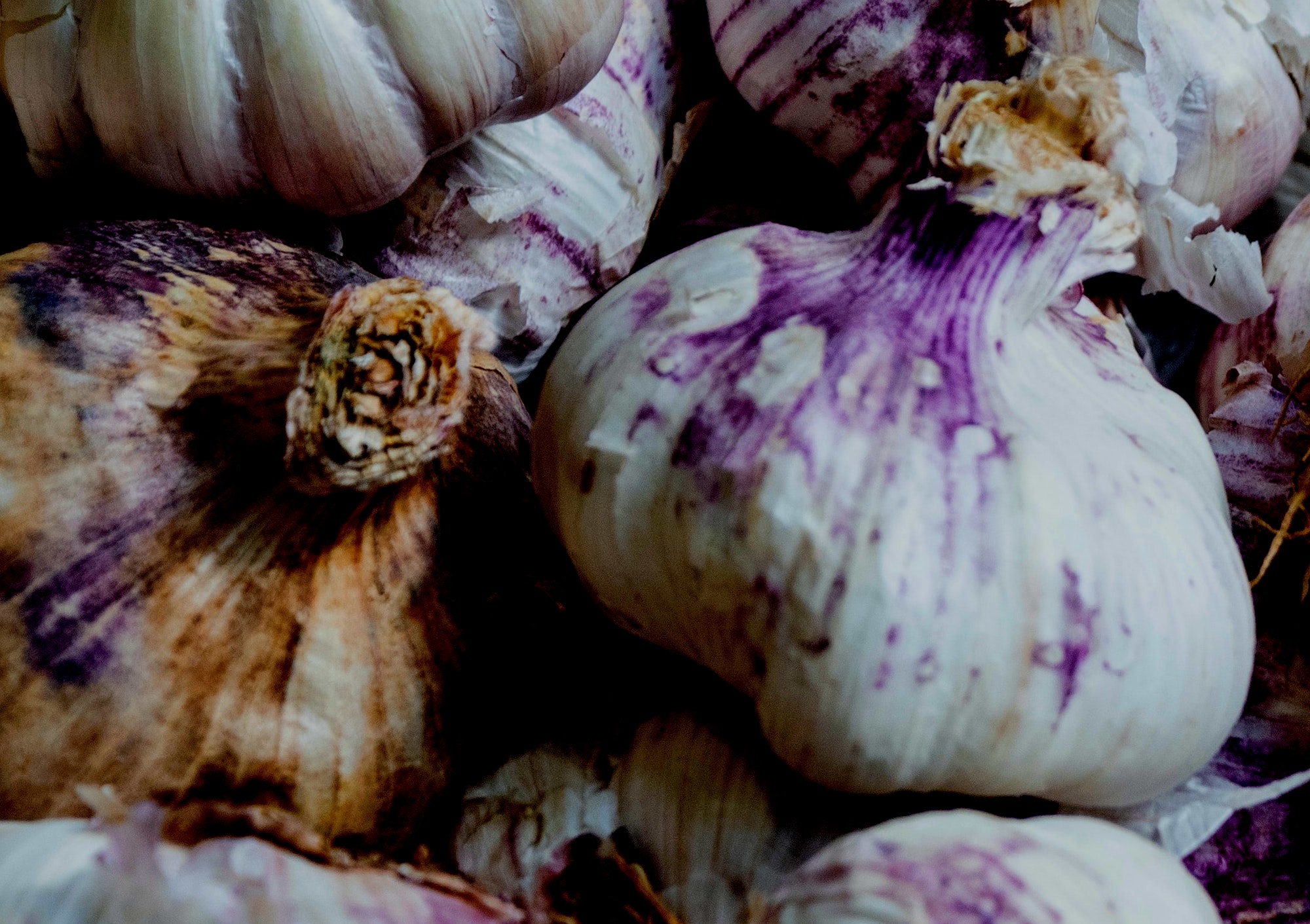 How to Store Garlic Cloves for Months Jerry James Stone