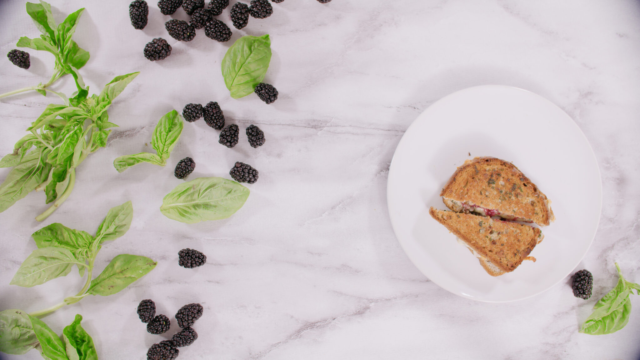 Blackberry Balsamic & Basil Grilled Cheese