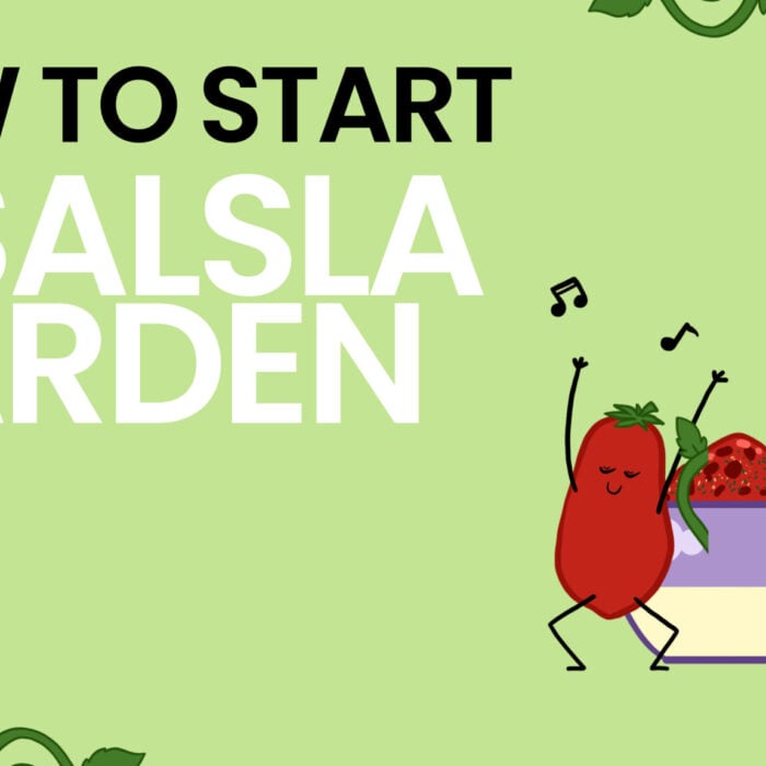 How to Start a Salsa Garden Video - Light Green