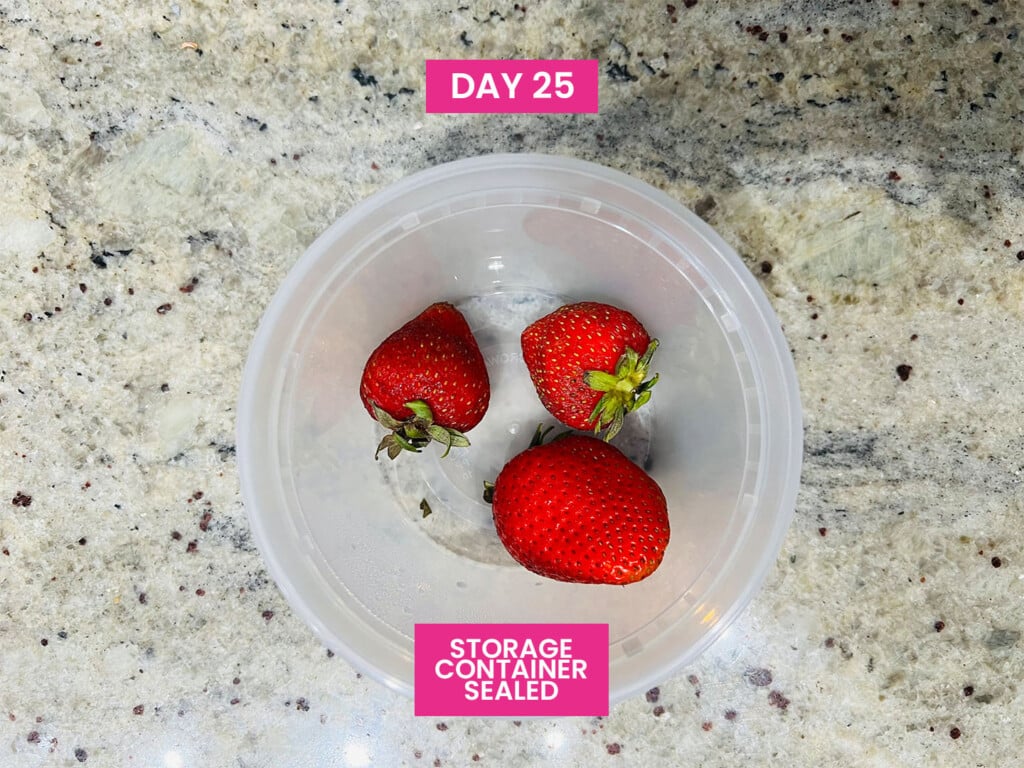 Best Way to Store Strawberries (17 Methods Tested)
