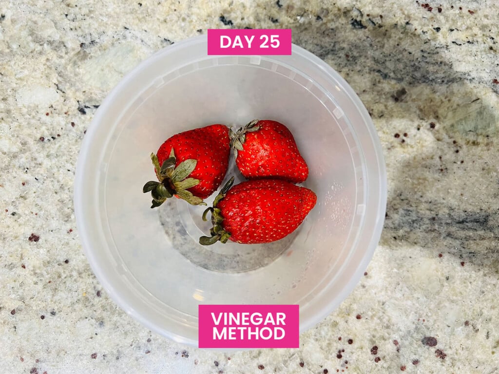 Best Way to Store Strawberries (17 Methods Tested)