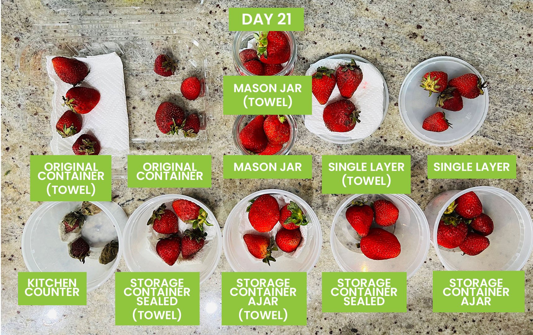 Strawberries: How to store, freeze, prevent mold, keep from spoiling