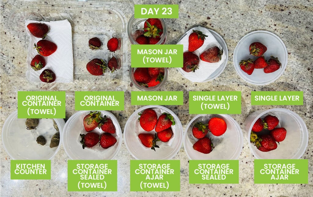 Best Way to Store Strawberries (17 Methods Tested)