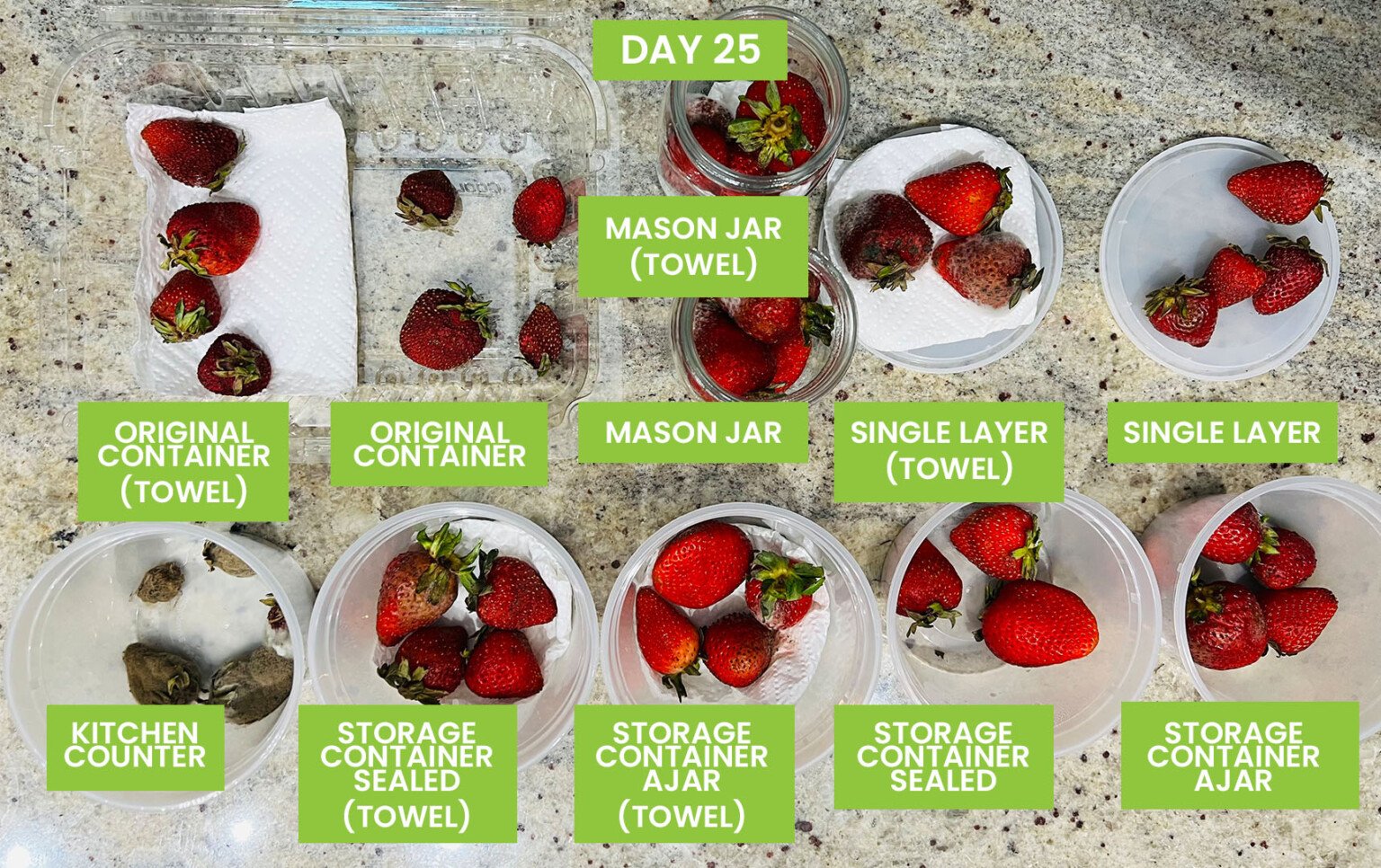 Best Way to Store Strawberries (17 Methods Tested)