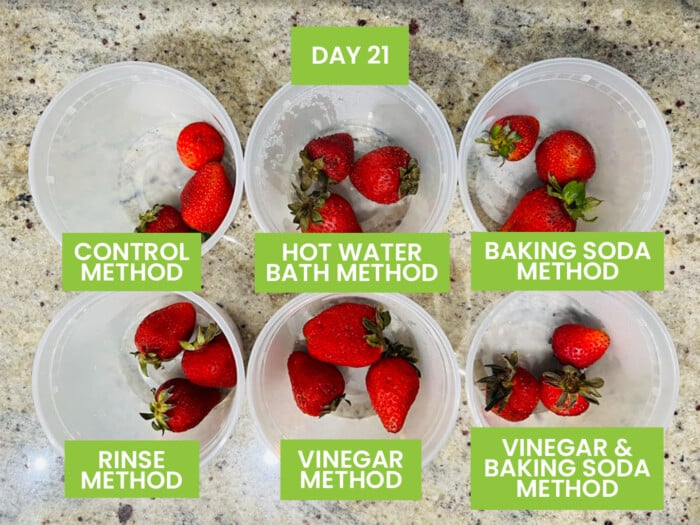 Best Way to Store Strawberries (17 Methods Tested)