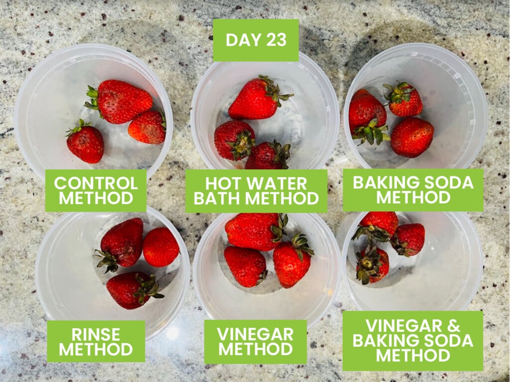 Best Way to Store Strawberries (17 Methods Tested)