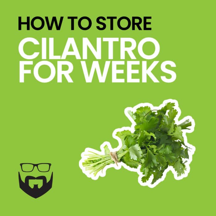 How to Store Cilantro for Weeks Square - Green