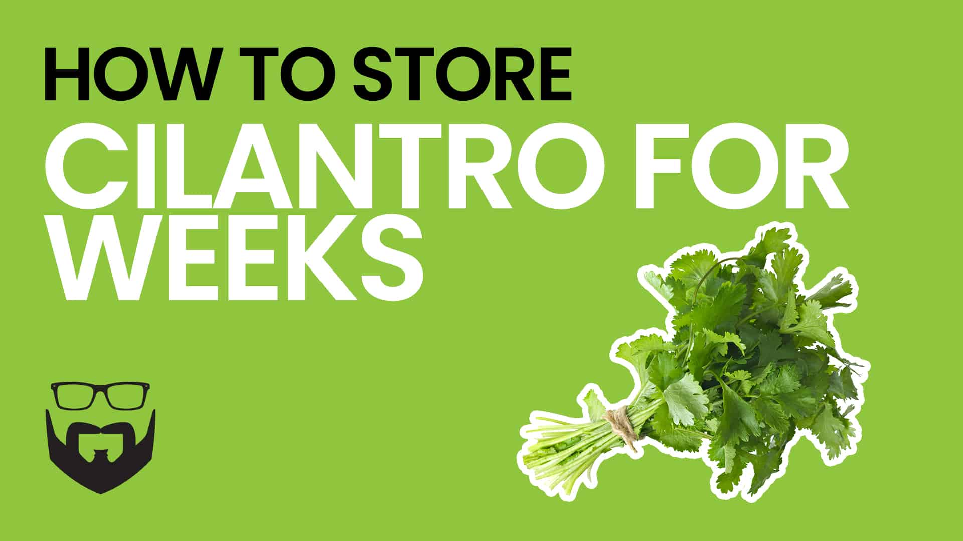 How to Store Cilantro for Weeks Video - Green