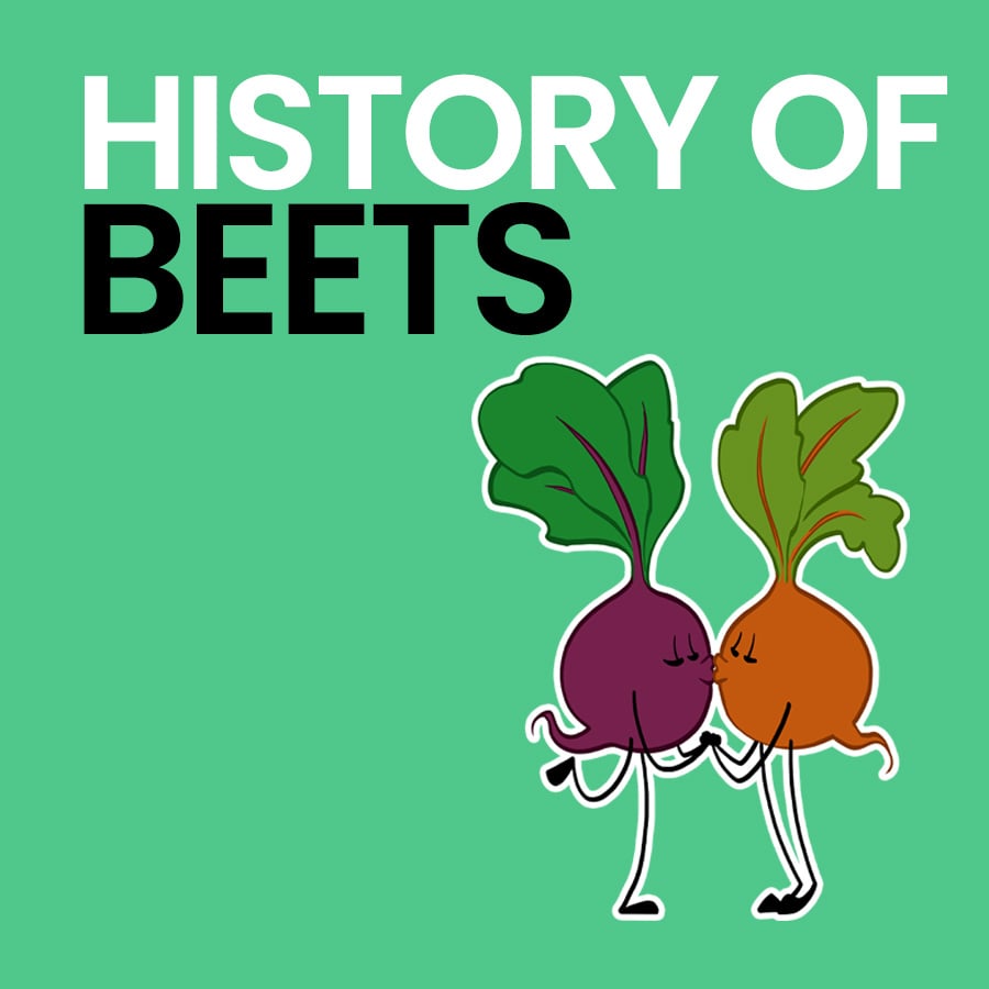 Types Of Sour Beets