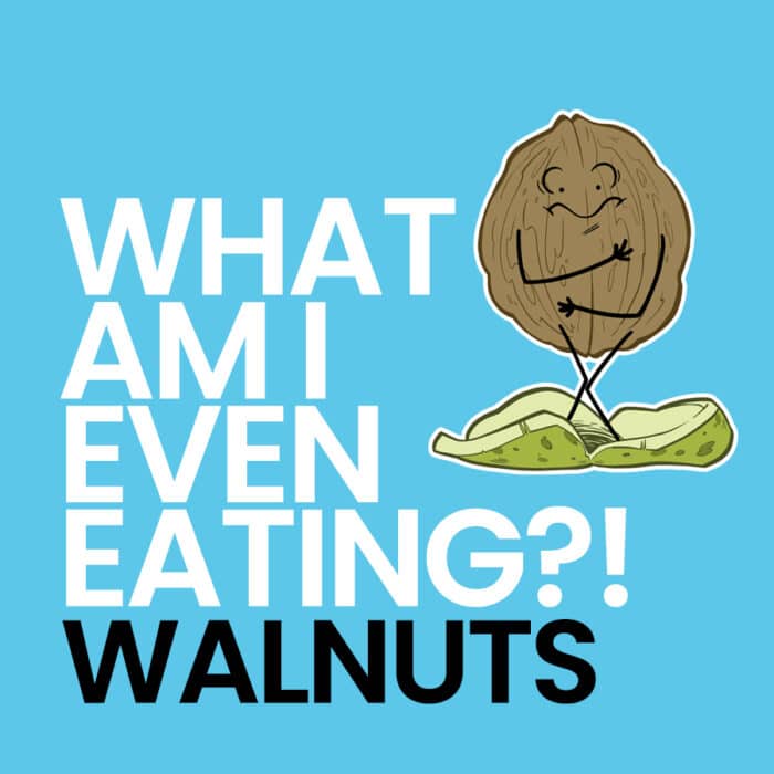 What Am I Even Eating - Walnuts Square