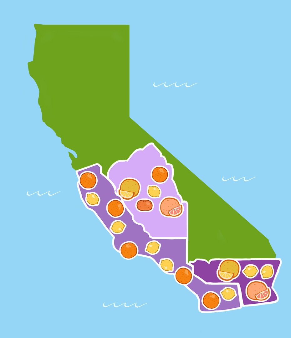 History of Lemons What Am I Even Eating?!